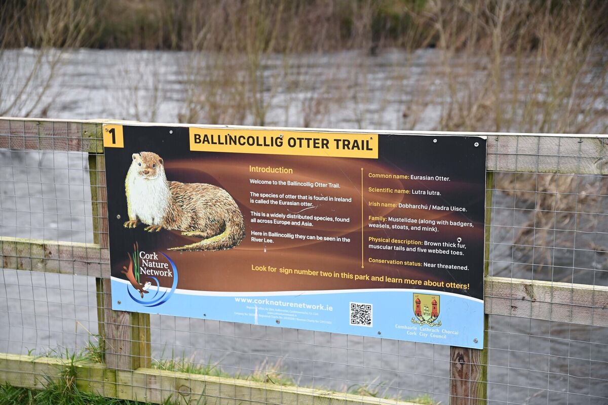 Otter trail sign at Ballincollig Regional Park. Picture: Denis Minihane Otter trail sign at Ballincollig Regional Park. Picture: Denis Minihane