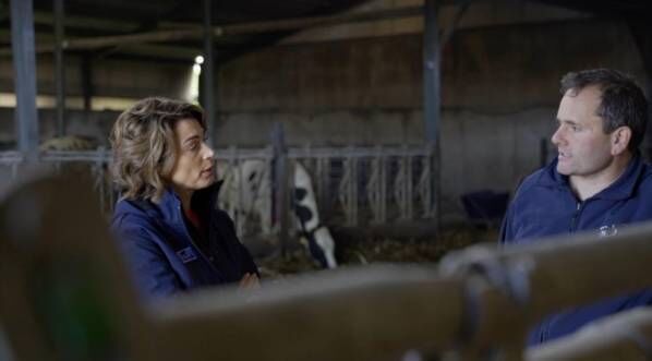 Hygiene is especially important in cows that only receive an internal teat sealant, like Sureseal. 