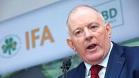 'Future is frightening' for horticultural growers as they urge Government to introduce support