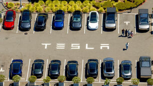 Tesla profits have fallen (Noah Berger/AP)