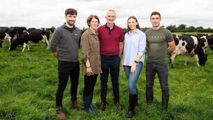 <p>The Ryan Family from Co. Tipperary Awarded Top Prize at the 2025 NDC &amp; Kerrygold Quality Milk Awards.</p>