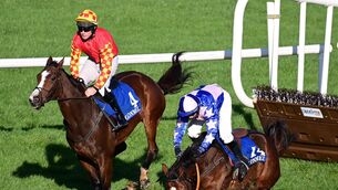 <p>FLYING DISMOUNT: Courtmac Gesture and Michael Kenneally part company in the Irish Stallion Farms EBF Mares Maiden Hurdle. Both horse and jockey were okay. 	Picture: Healy Racing </p>