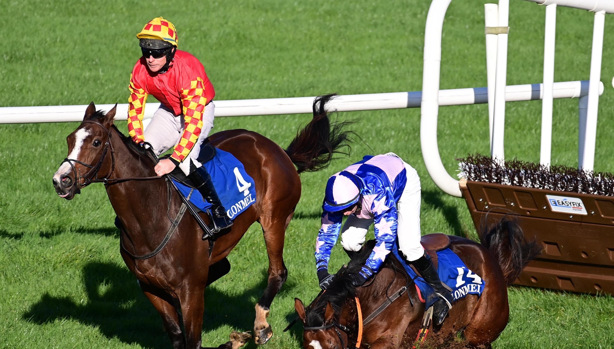 Nara shows her class at Clonmel 