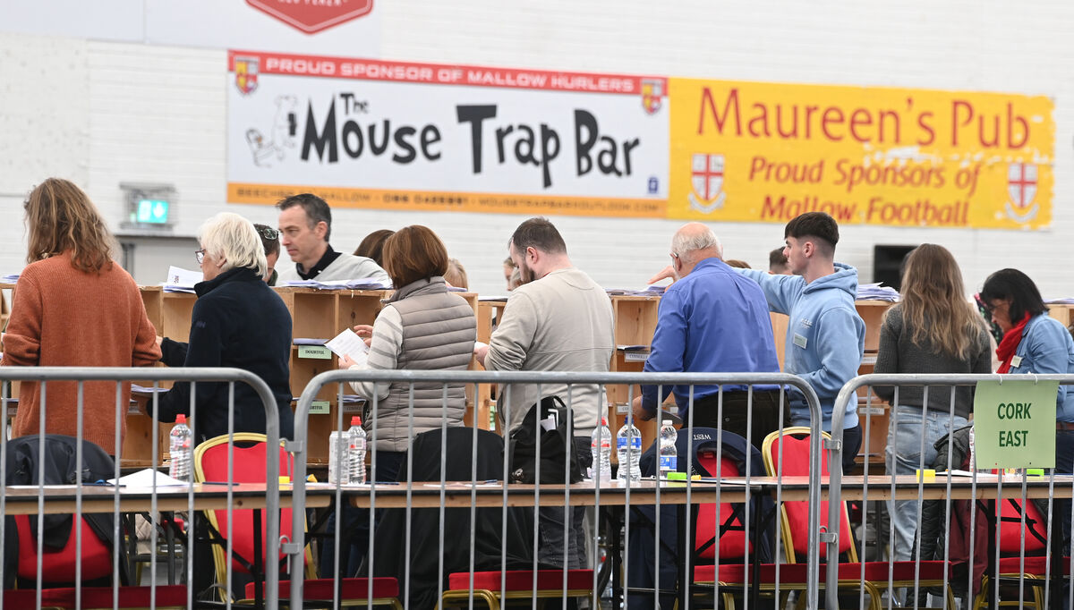  Ballots are separated by count staff at Mallow GAA Complex as part of the presidential election. Picture: Larry Cummins