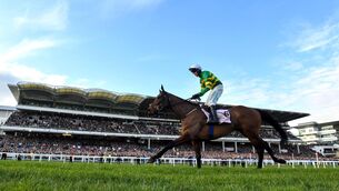<p>FESTIVAL SWITCH: Cheltenham saw an increased attendance at its season-opening Showcase meeting over the weekend. Picture: David Fitzgerald/Sportsfile</p>