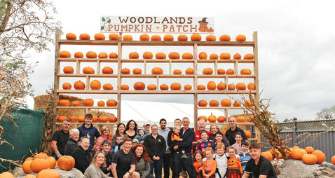Tots to Teens: Make their midterm spooktacular with pumpkin-picking
