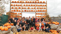 Tots to Teens: Make their midterm spooktacular with pumpkin-picking Tots to Teens: Make their midterm spooktacular with pumpkin-picking