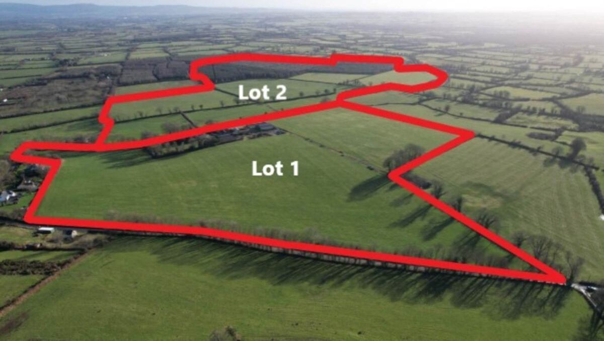 Guide price of €1.8m for 168-acre south Limerick farm