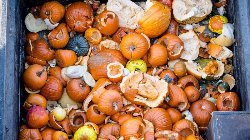 Ireland’s frightening Halloween habit is a curse that can be broken by sustainable choices Ireland’s frightening Halloween habit is a curse that can be broken by sustainable choices