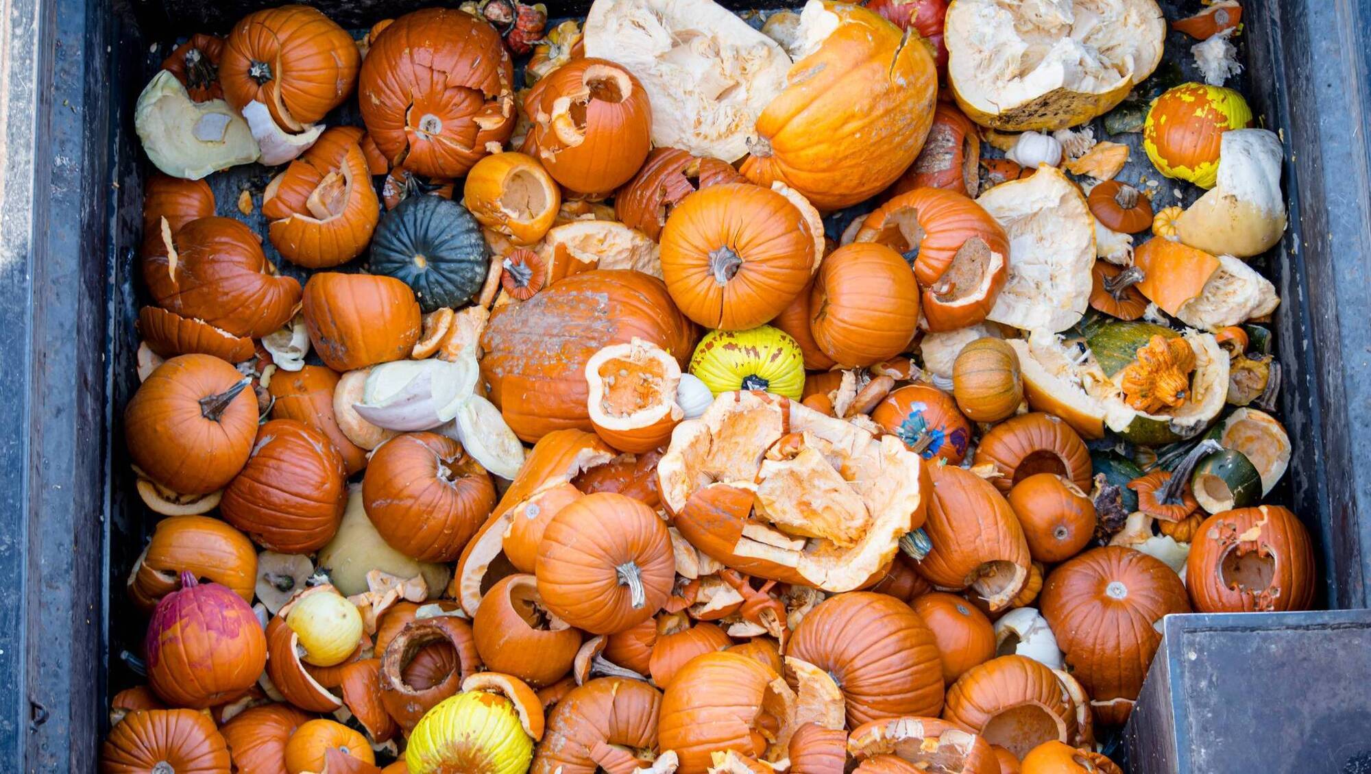 Ireland’s frightening Halloween habit is a curse that can be broken by sustainable choices