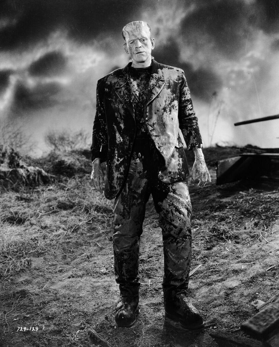 Boris Karloff as the monster in 'Bride of Frankenstein'. Picture: John Kobal Foundation/Getty Boris Karloff as the monster in 'Bride of Frankenstein'. Picture: John Kobal Foundation/Getty