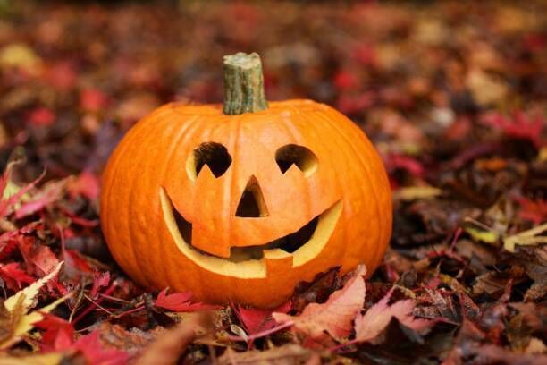 It’s best to think of Halloween as we know it, as part of a long legacy of festivals and practices that evolve over time, based on encounters with new peoples with new ideas. It’s best to think of Halloween as we know it, as part of a long legacy of festivals and practices that evolve over time, based on encounters with new peoples with new ideas.