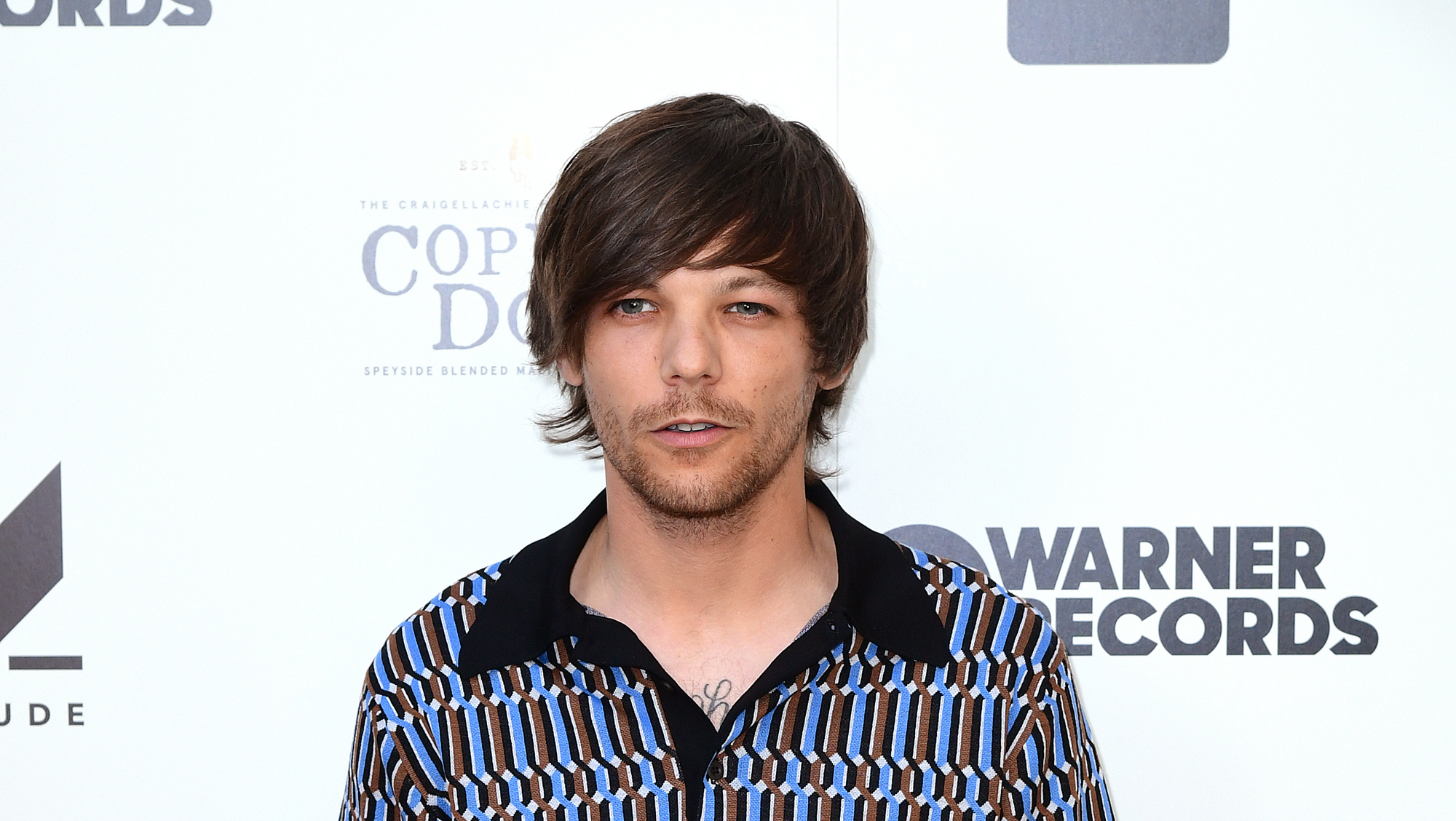 Masque De Célébrité Louis Tomlinson (cheveux Bruns) – Neuf Sous Emballage