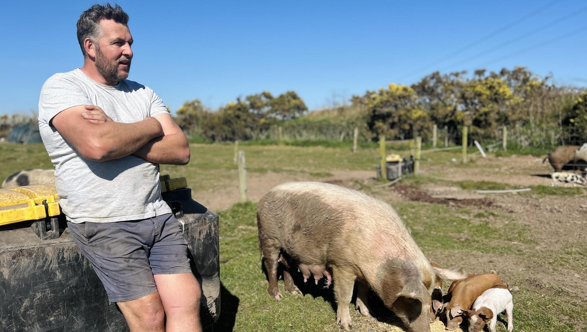 Joe McNamee: The State must atone for 1980s regulations and save small farms