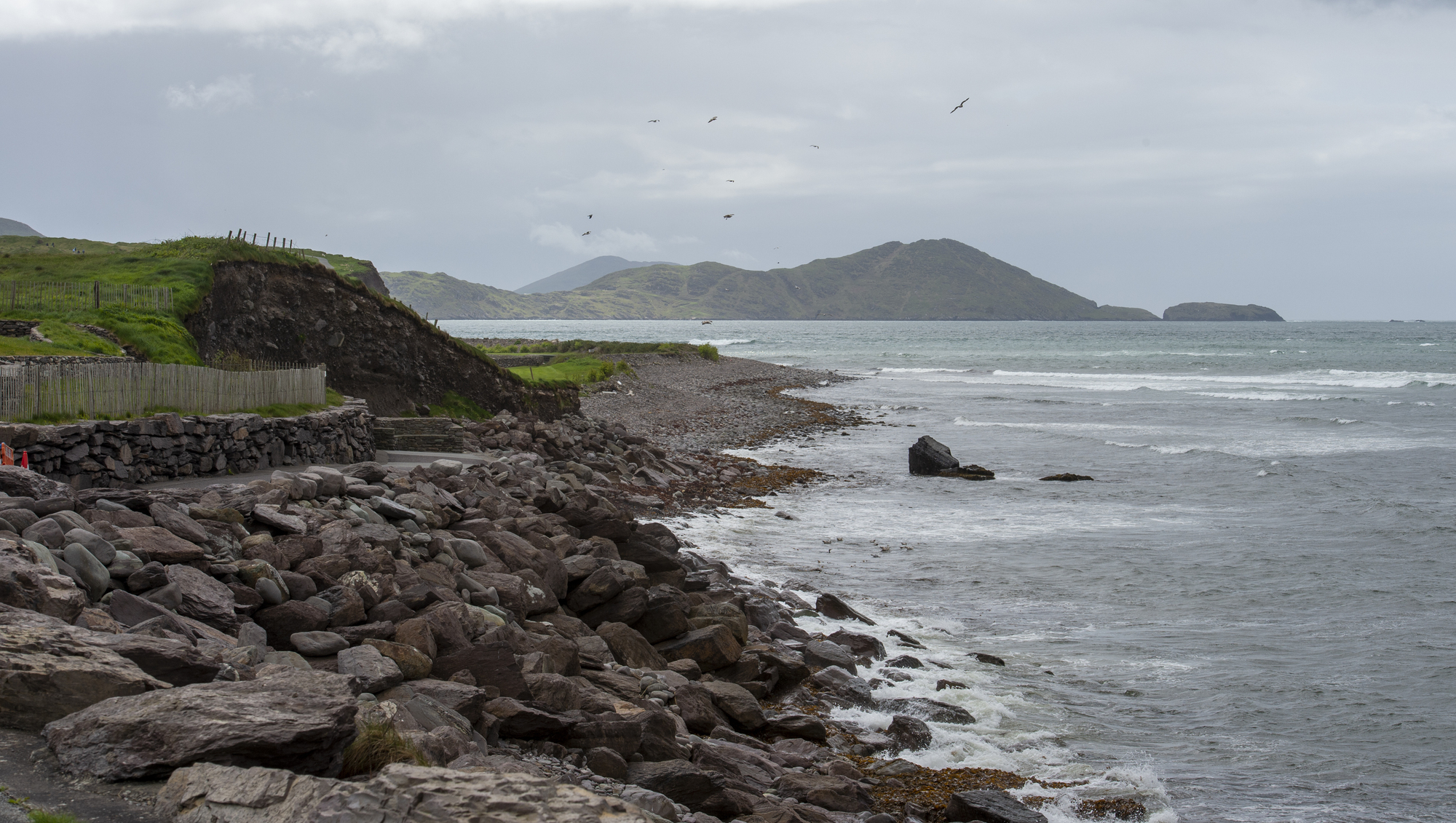 Kerry councillors condemn approval for commercial salmon farm to continue, despite serious breaches