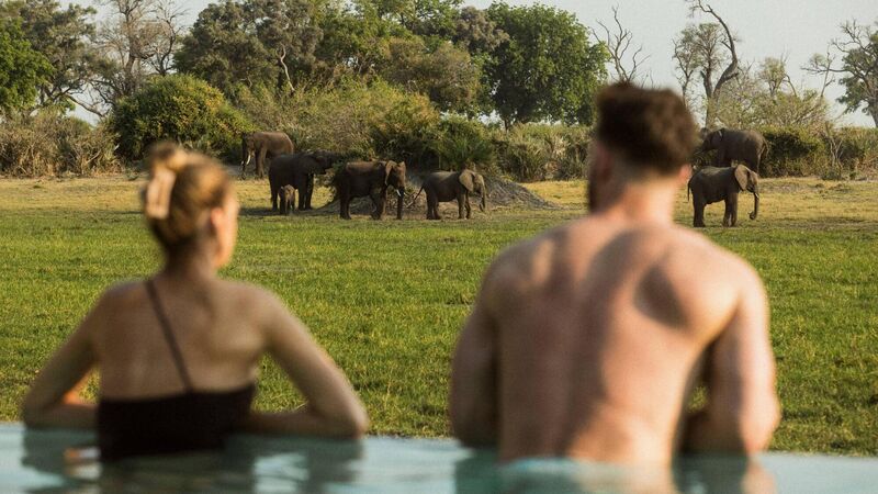 Departure Lounge: Head for Botswana for a safari escape Departure Lounge: Head for Botswana for a safari escape