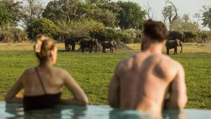 <p>Mombo, Botswana</p> <p>Mombo, Botswana</p>