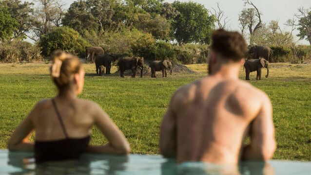 <p>Mombo, Botswana</p>