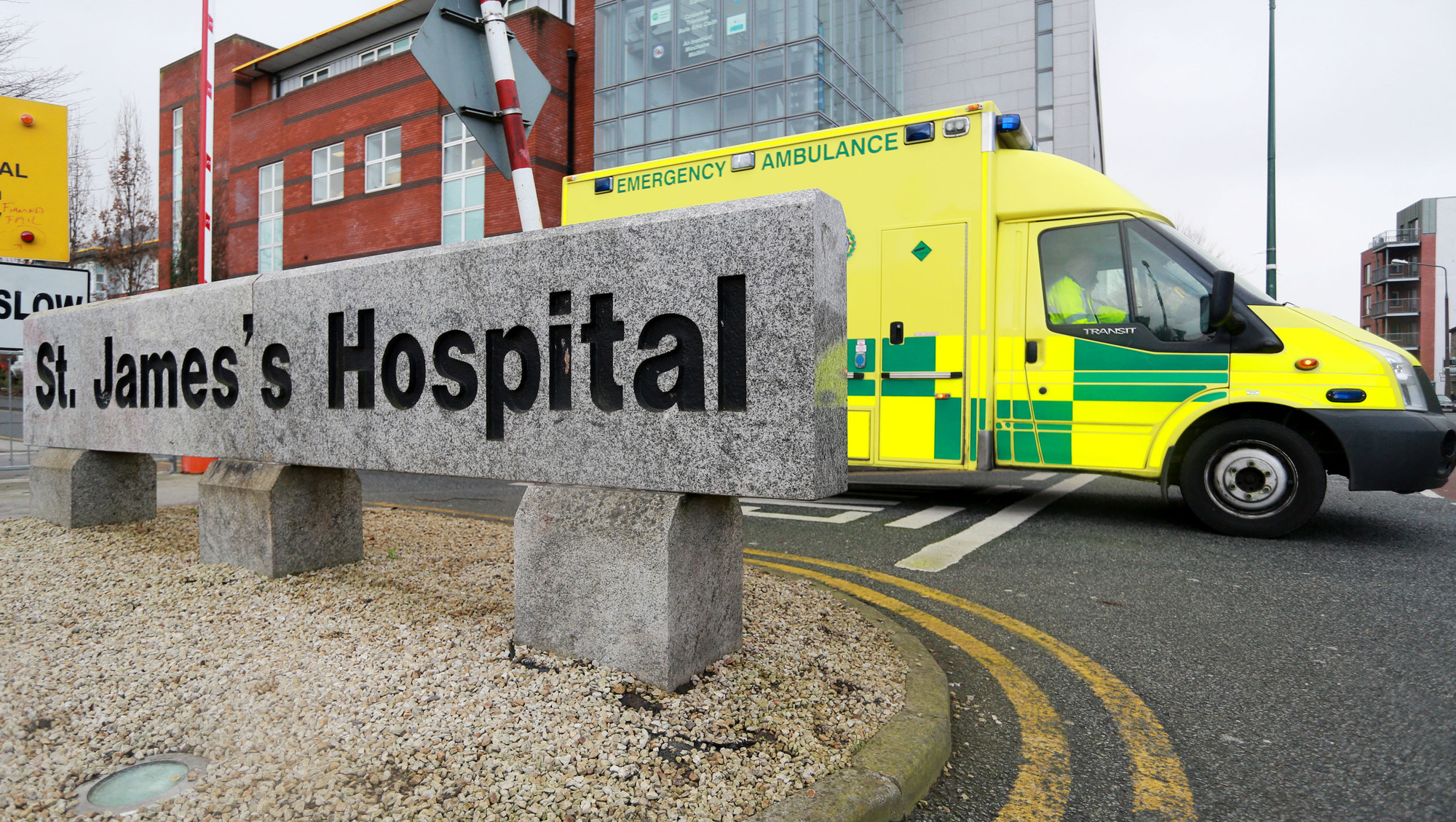 Ireland's TB care centre says it cannot meet current or future demand as cases soar