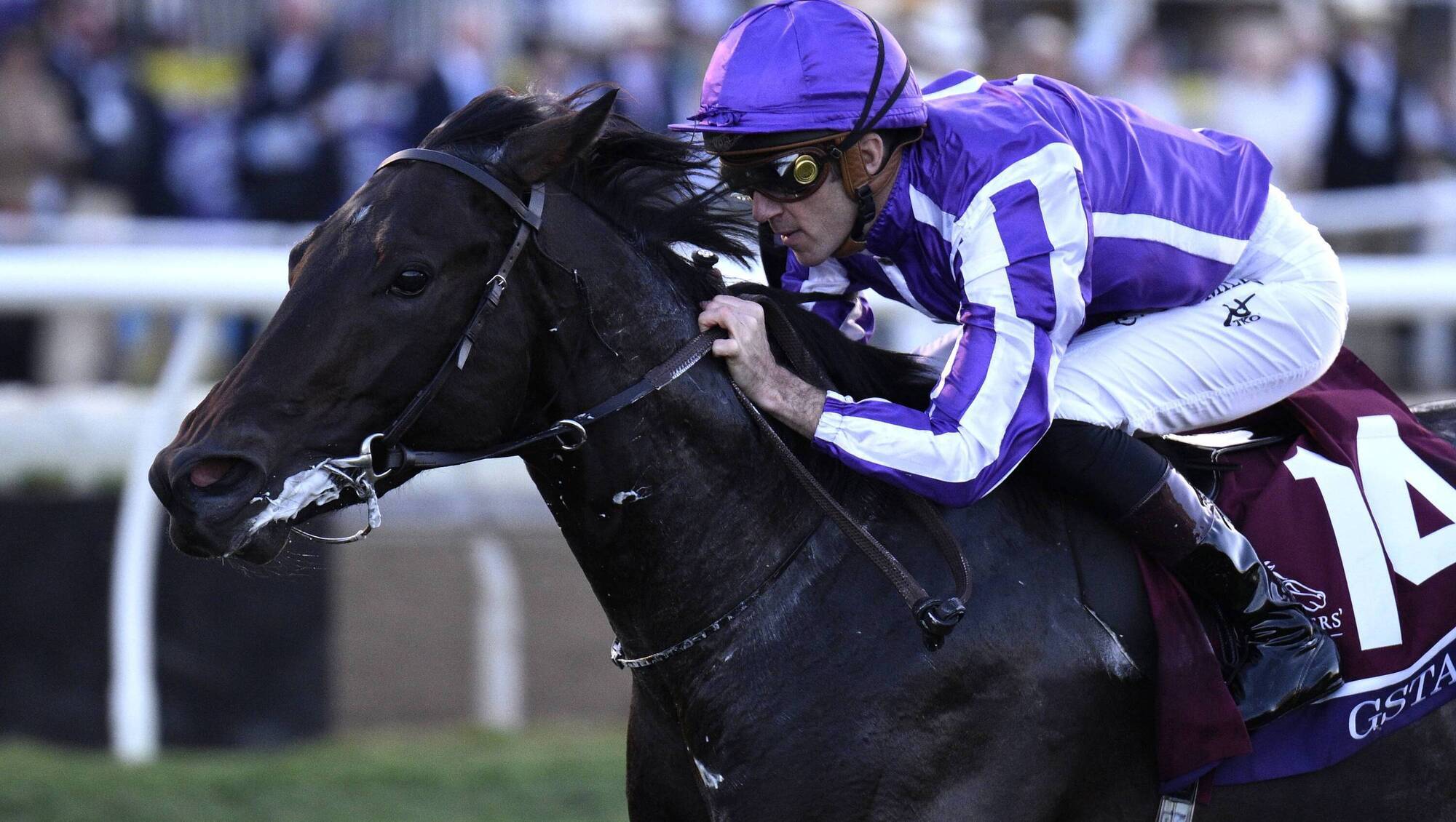 Gstaad and Soumillon in cruise control, as O'Brien breaks new Breeders' Cup ground