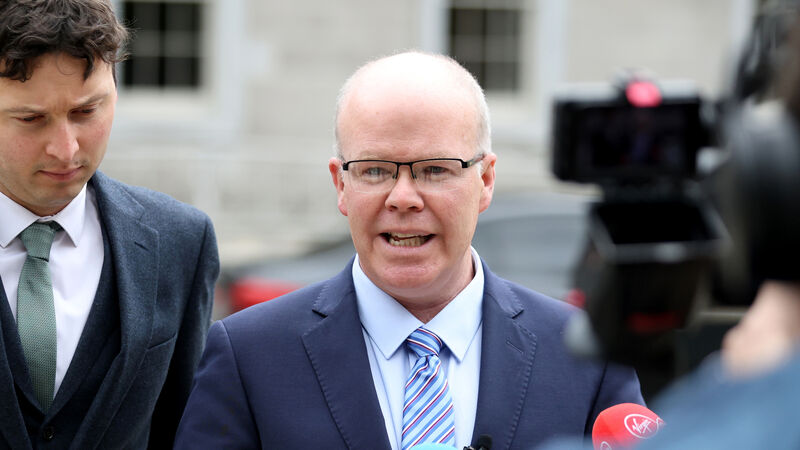 Government spent €80m on reviews including €1.3m on dog population study 