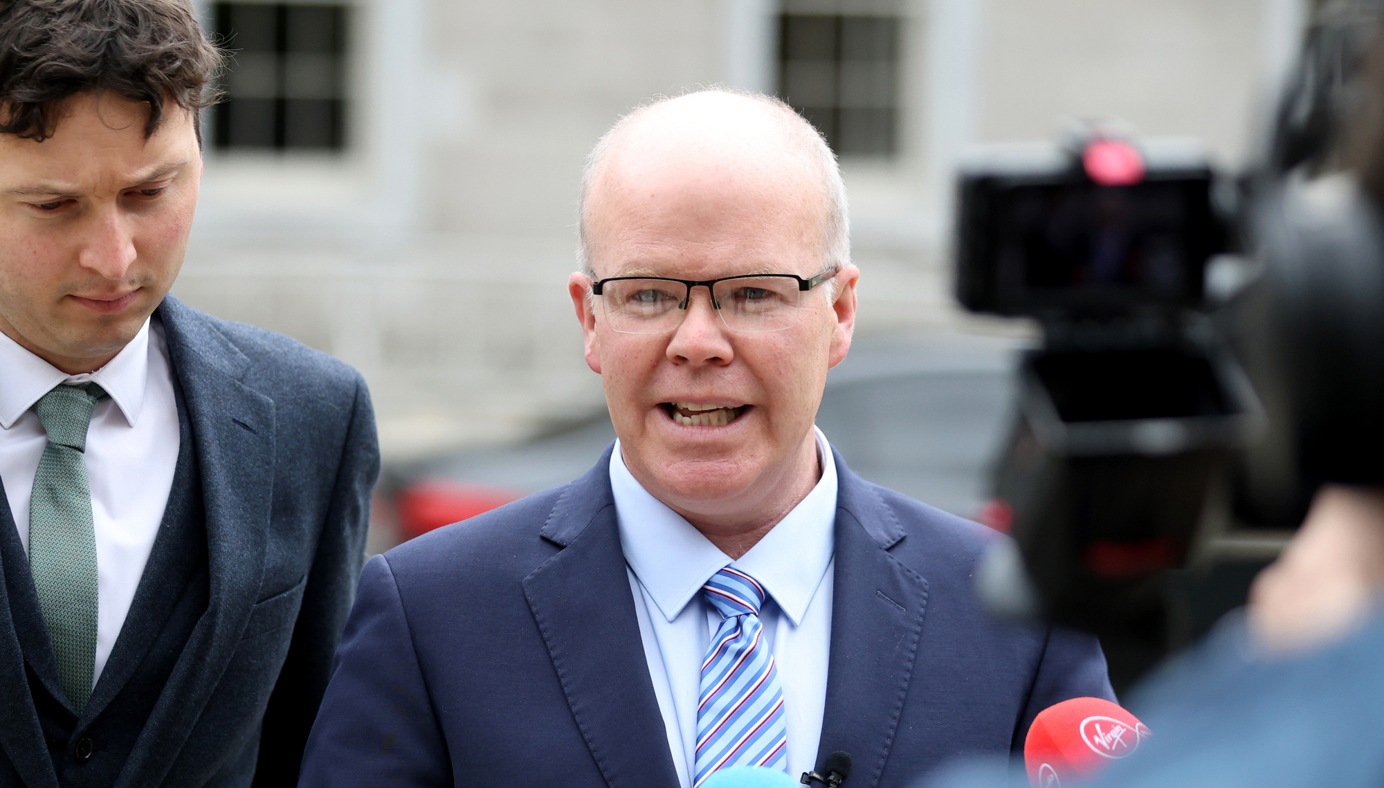 Government spent €80m on reviews including €1.3m on dog population study 