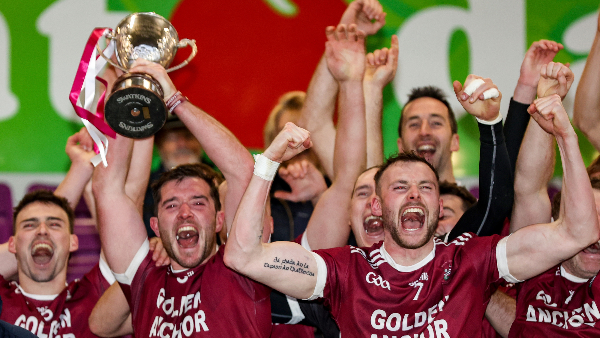 Castletown win back-to-back Wexford SFC titles as they defeat Shelmaliers