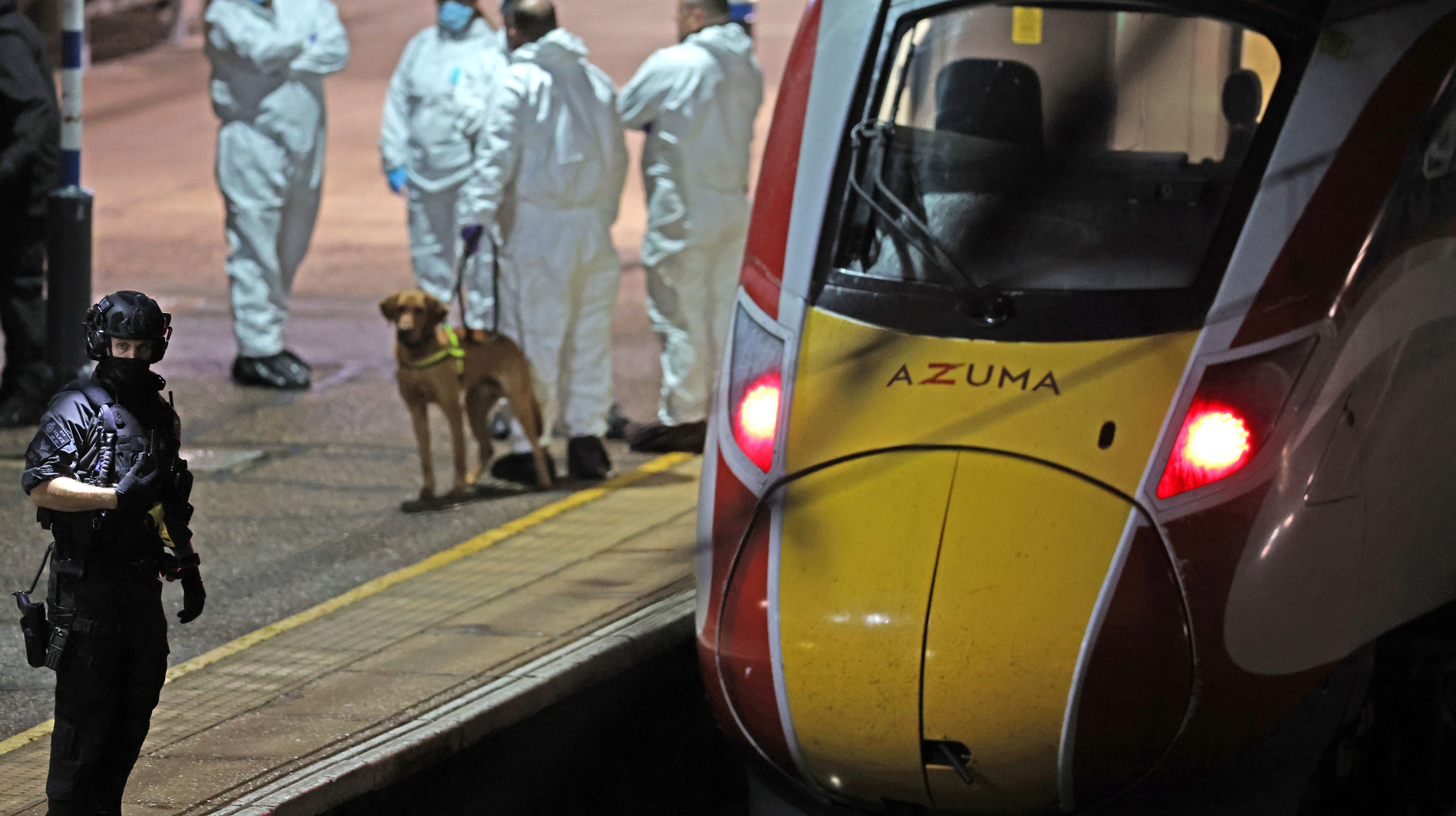 Train hero fights for life as knife attack suspect remains in police custody