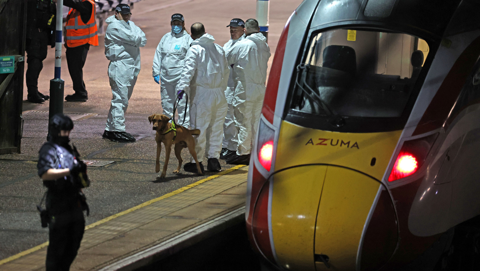 Man charged over mass stabbing also accused of attack on different train earlier