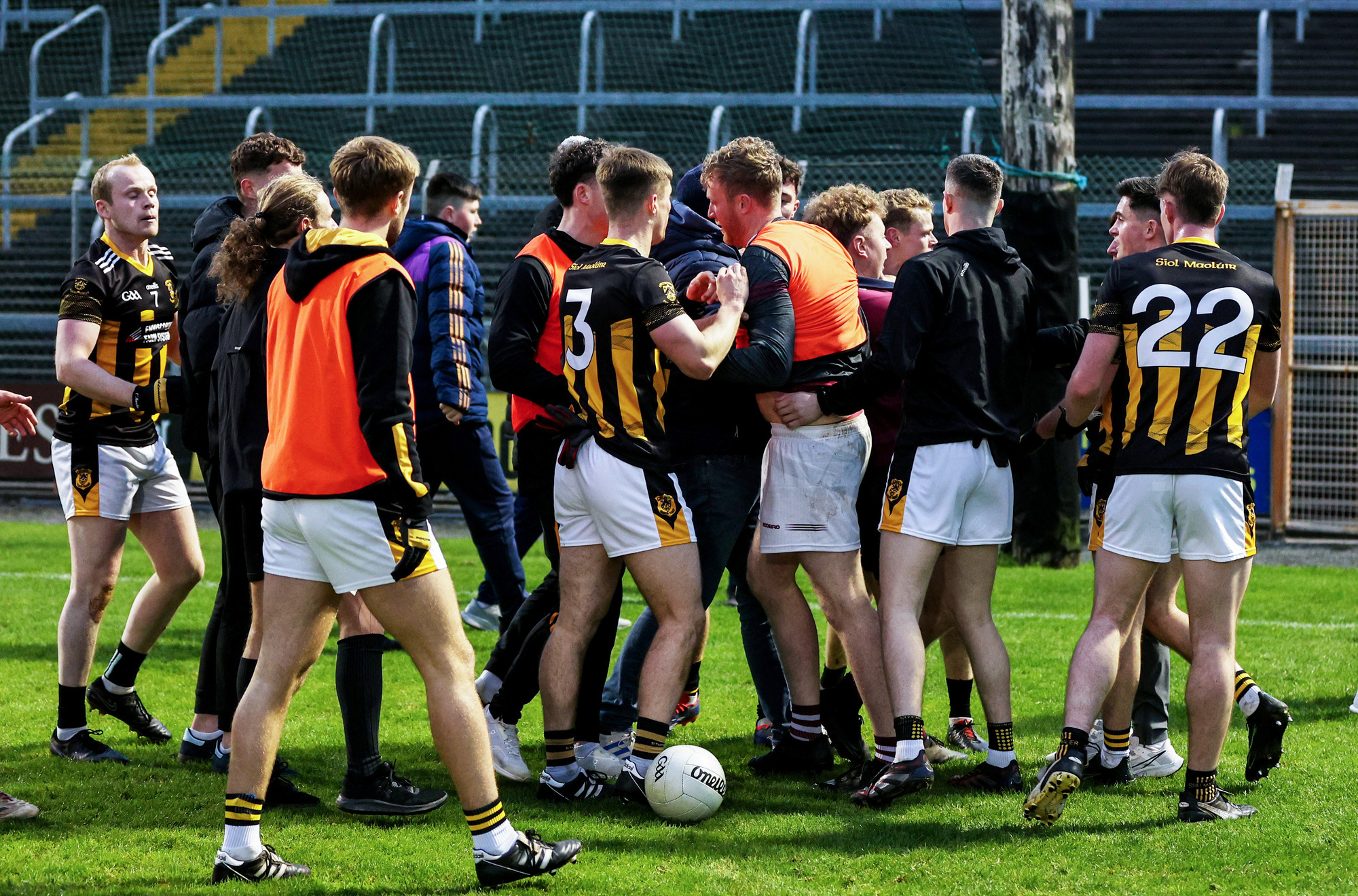 Wexford GAA to join gardaí in investigation of brawl after senior football final