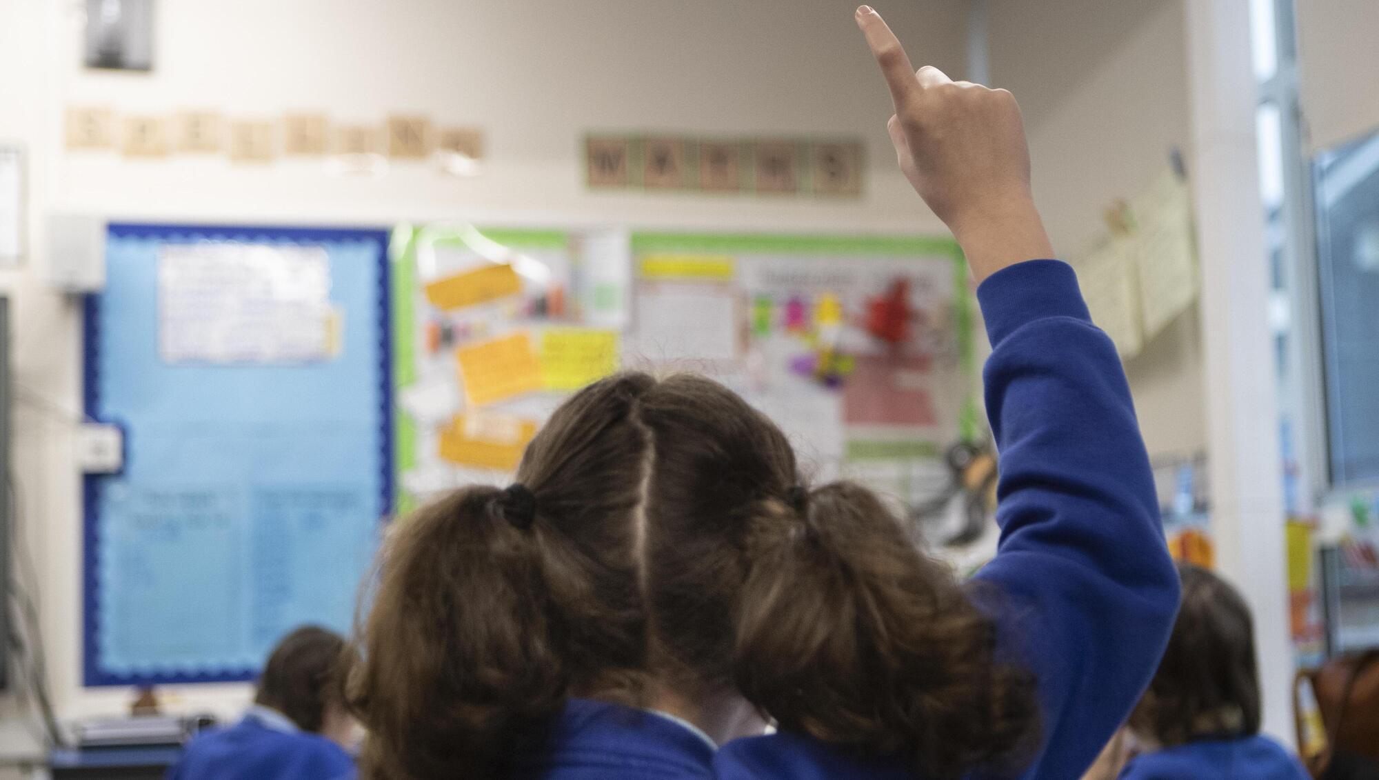 Sustainability of special class growth questioned with amount almost doubling in four years