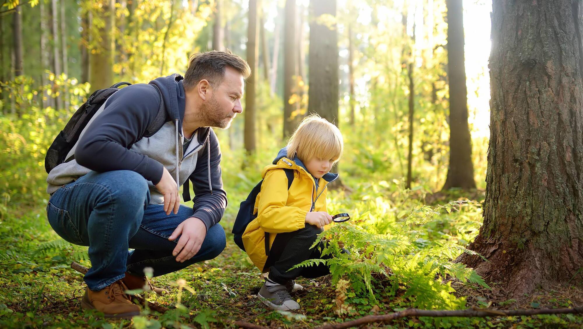 Colman Noctor: Understanding science starts with moments of wonder, not in our genes 