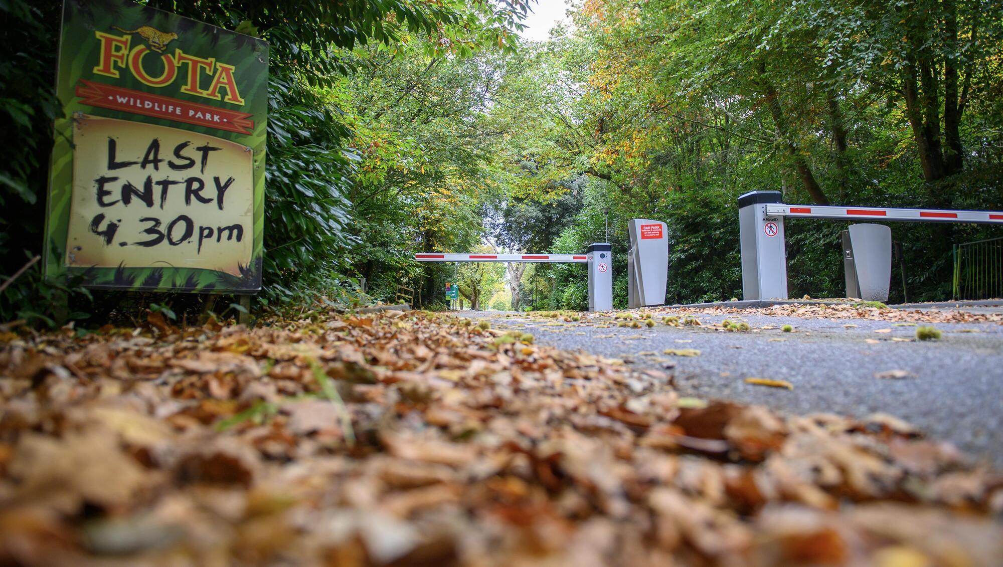 Fota Wildlife Park to remain closed until end of November due to bird flu outbreak 