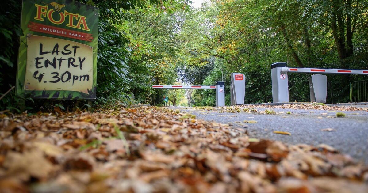 Fota Wildlife Park to remain closed until end of November due to bird flu ...