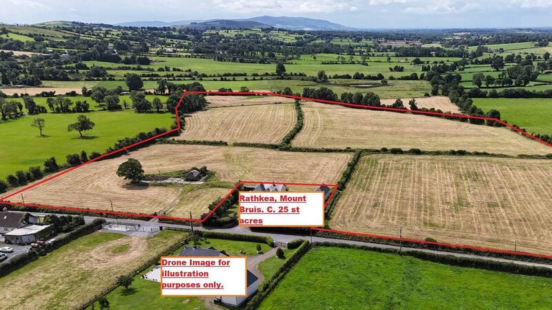 Hybrid auction of 25 acres in Tipperary fetches €442,000