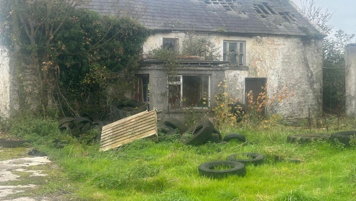 88-acre farm near Adare guiding €17,000/acre