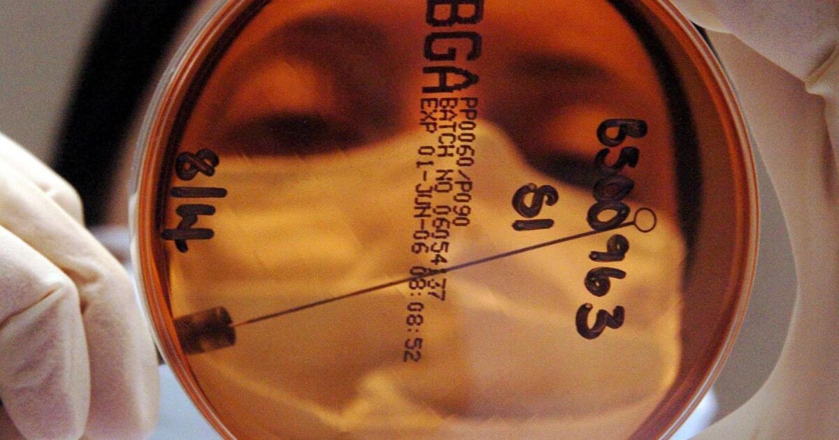 Compulsory housing order issued to halt spread of bird flu