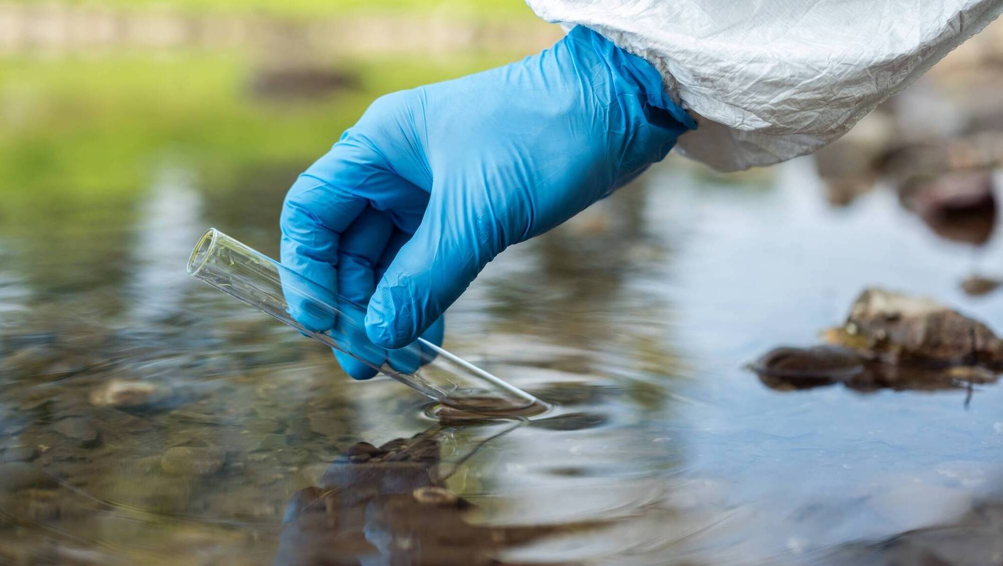 Every small action counts: How ASSAP helps farmers protect water