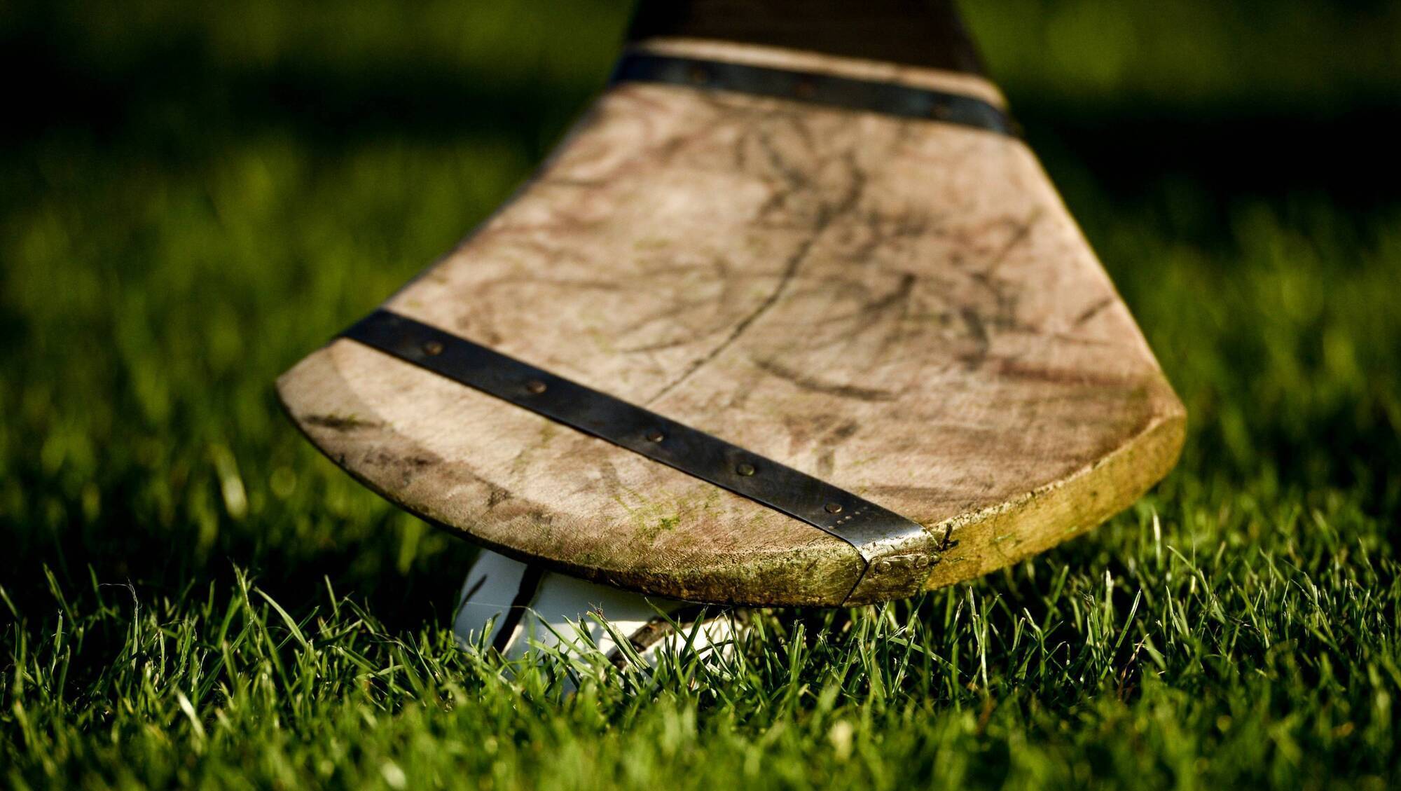 Nenagh CBS experiences helped to hold off Ardscoil Rís comeback in Harty Cup