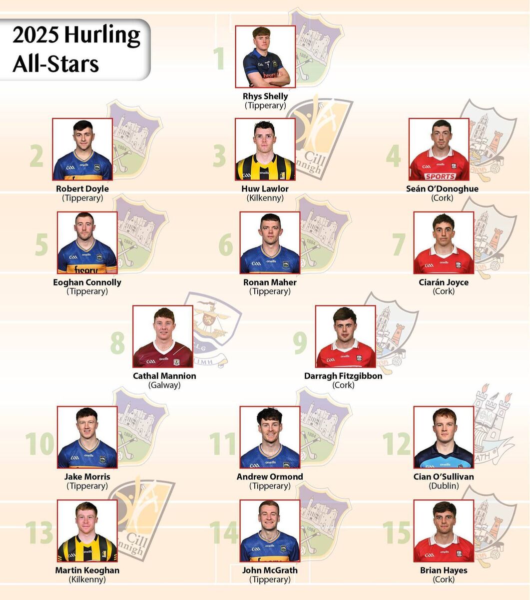 2025 Hurling All Stars 