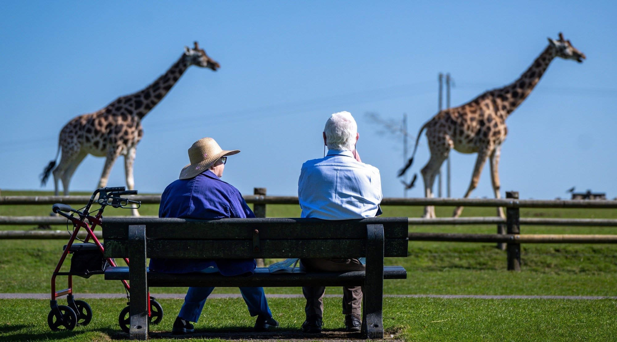 Irish Examiner view: Fota Wildlife Park merits State support