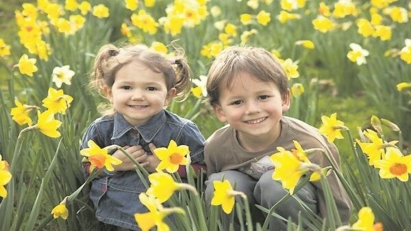 It’s the 250th anniversary of the birth of William Wordsworth, who celebrated daffodils in poetry.