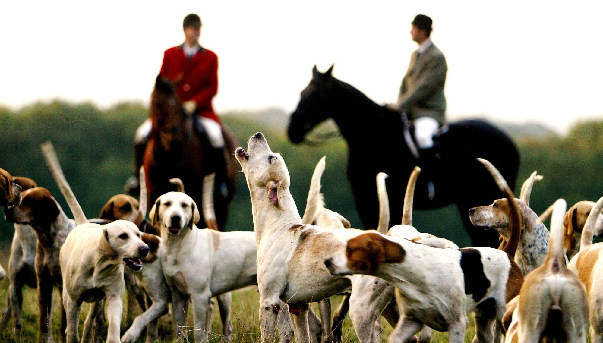 Paul Rouse: Debate on foxhunting still hasn't cut to the chase