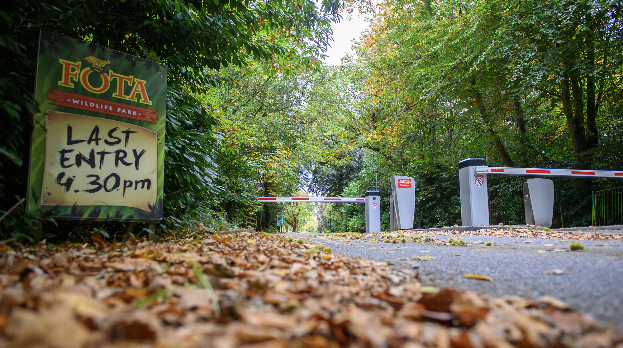 Fota Wildlife Park needs your help to keep animals thriving after the bird flu outbreak