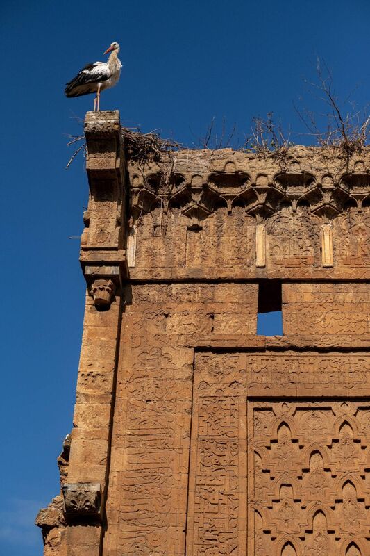 A stork nested on top of a a minaret at the Chellah Necropolis