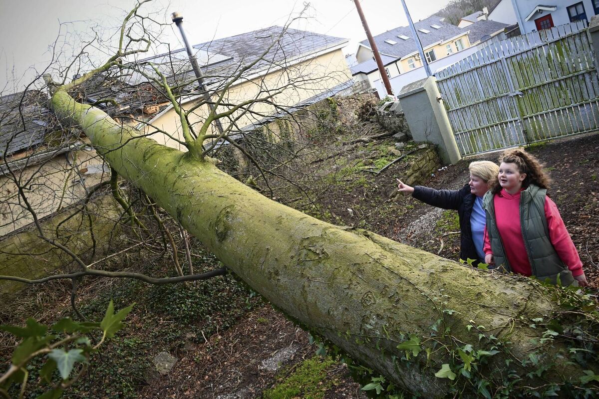 The damage done to Angela and Áine Ducey's home at Killavullen, Co Cork, was just one instance of innumerable disruptions during Storm Éowyn which felled trees and caused power outages across Ireland earlier this year. File picture: Larry Cummins The damage done to Angela and Áine Ducey's home at Killavullen, Co Cork, was just one instance of innumerable disruptions during Storm Éowyn which felled trees and caused power outages across Ireland earlier this year. File picture: Larry Cummins