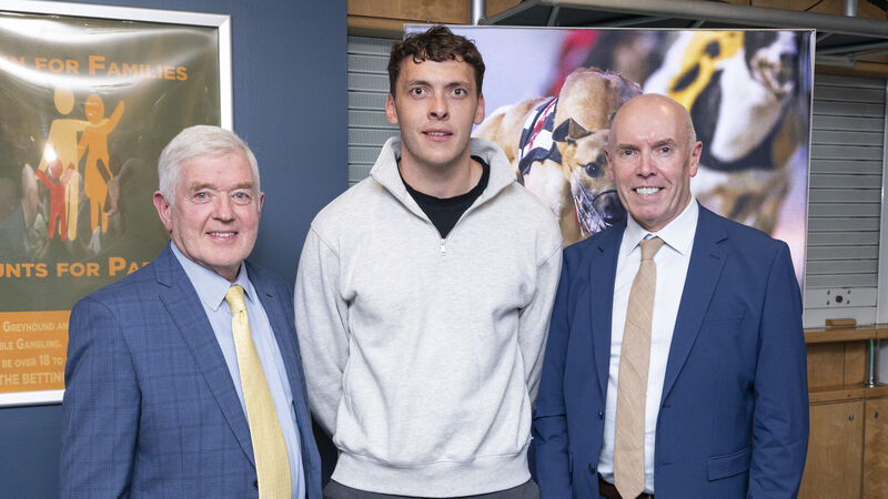 Magical On Fire conjures dramatic Irish Greyhound Laurels victory