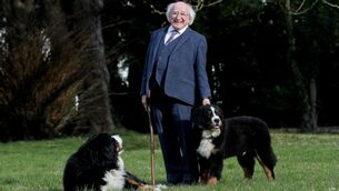 <p>President Michael D Higgins at Áras an Uachtaráin with his dogs Misneach and Brod É. Picture: Tony Maxwell</p>