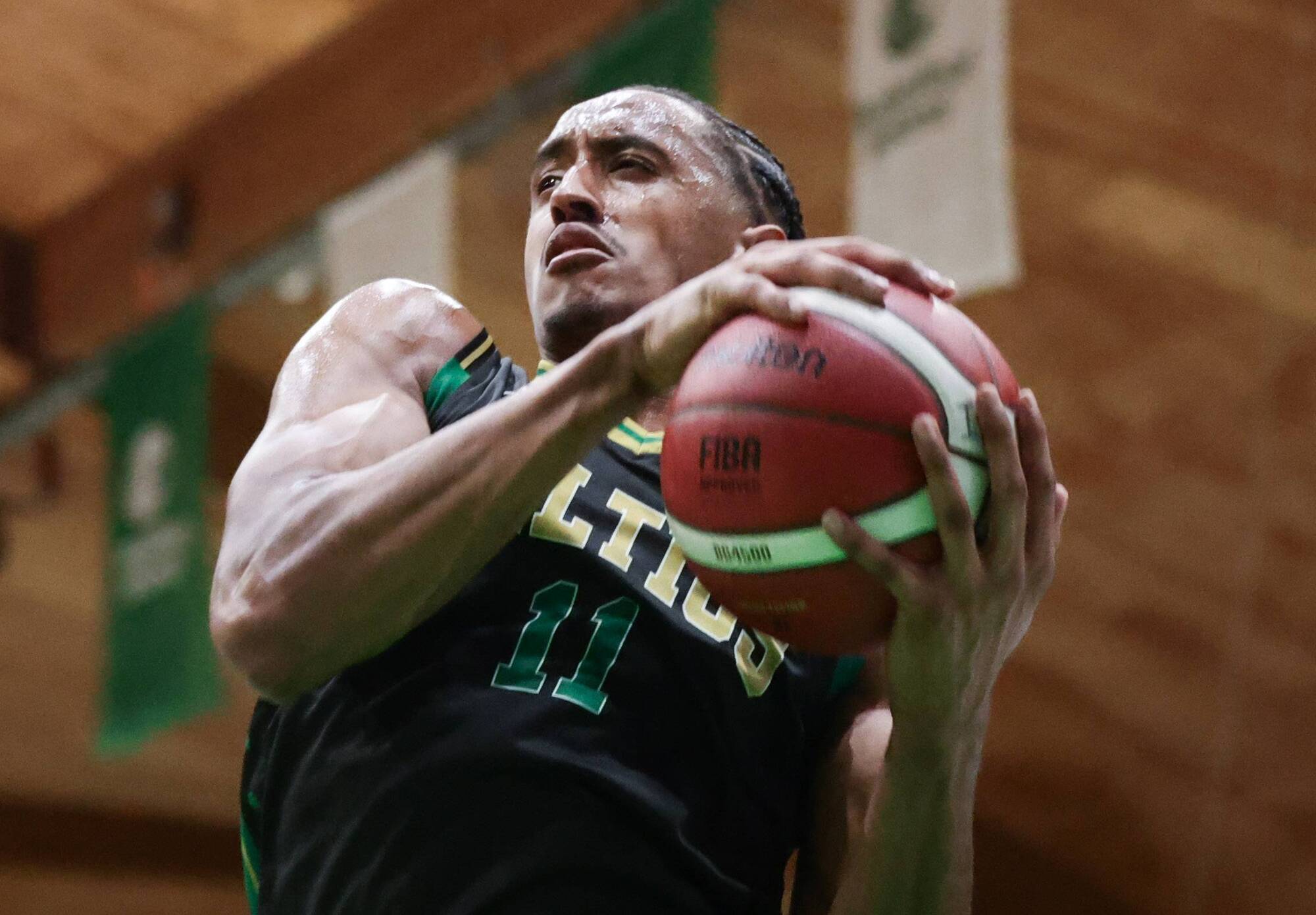 Kieran Shannon: Celtics delirium a wakeup call to the magic of a hoops weekend