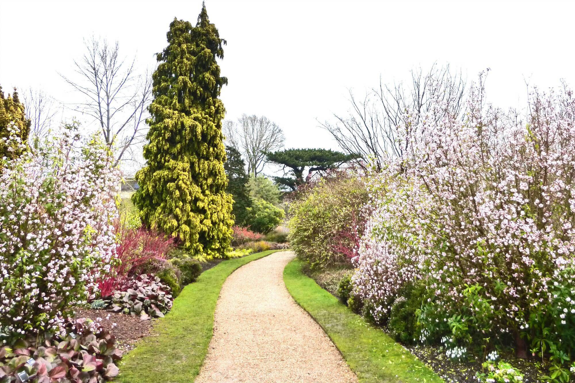 How to create the winter garden of your dreams